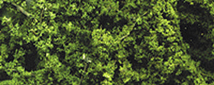Woodland Scenics 1131 Fine Leaf Foliage(TM) - 75 Cu. In. 1.2 Cu. m. -- Medium Green