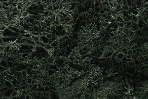 Woodland Scenics 164 Lichen - 1.5qts 1.4L -- Dark Green