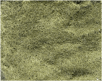 Woodland Scenics 634 Static Grass Flock(TM) - 57-11/16 Cubic Inches 945 Cubic cm -- Light Green